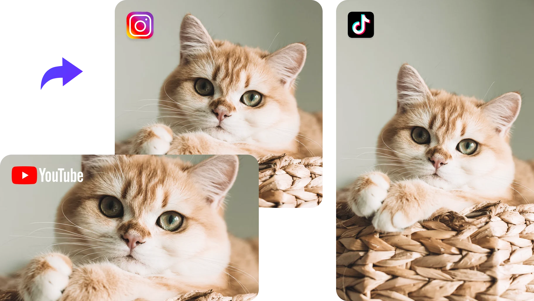 Aspect-ratio adjustment illustration supplied by AI Image Extender