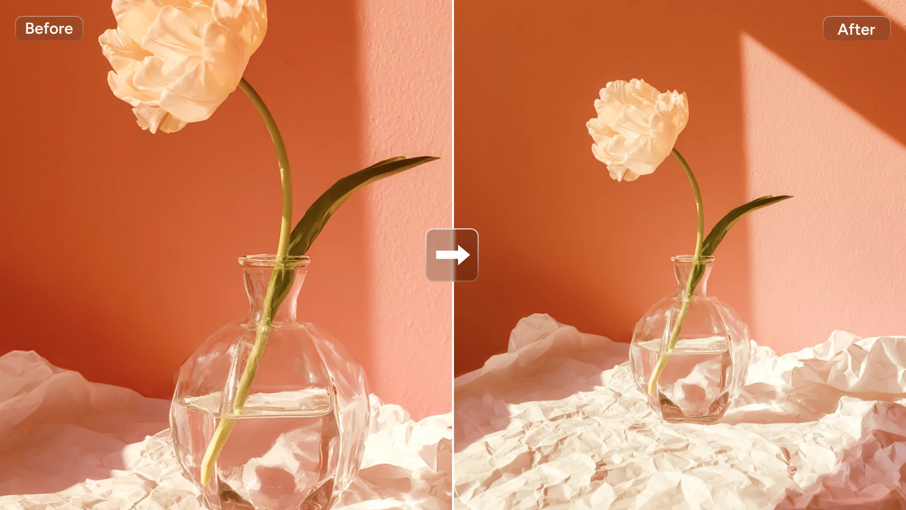 Floral Image Background Enhancement - AI extended creative by AI Image Extender